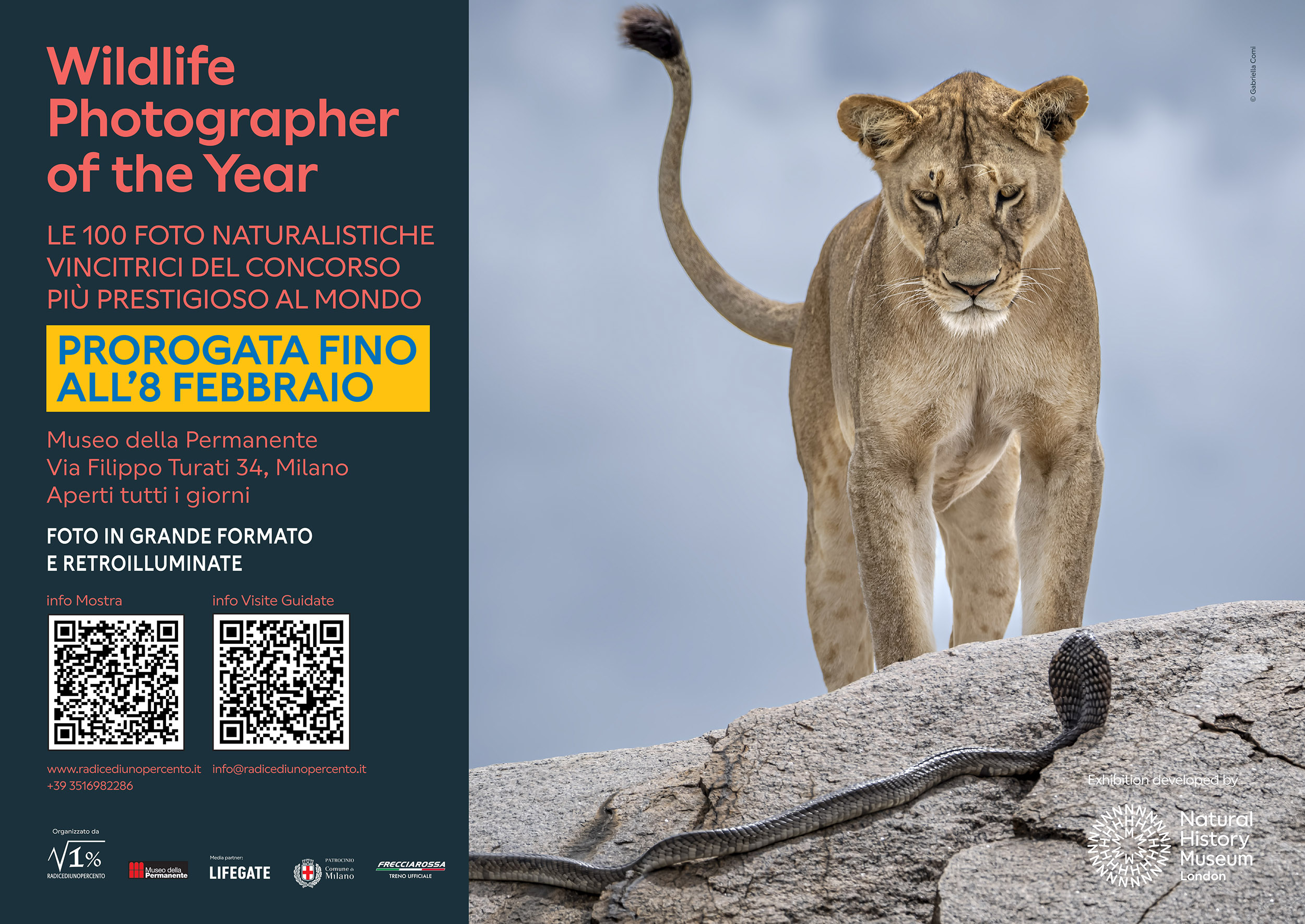 PROROGATA la mostra “WILDLIFE Photographer of The Year” 61 a Milano